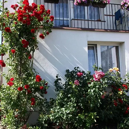 Guest house Caloroczny Dom Wczasowo-hotelowy *